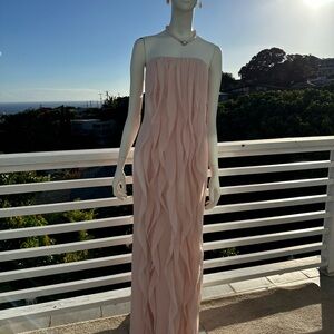 Elegant Strapless Blush Dress
